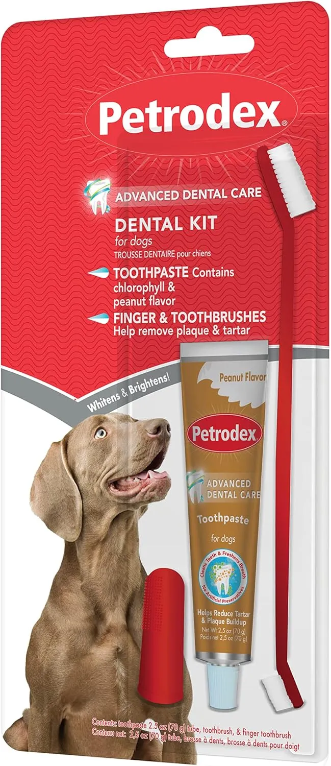 Petrodex Dental Care Kit for Dogs and Puppies that consists of 2.5oz Toothpaste and Toothbrush with Peanut Flavor